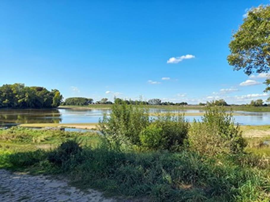 Gite En Bord De Loire Blaison-Saint-Sulpice Εξωτερικό φωτογραφία