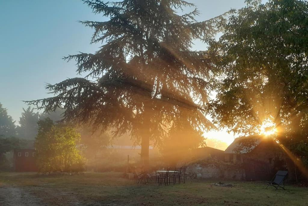 Gite En Bord De Loire Blaison-Saint-Sulpice Εξωτερικό φωτογραφία